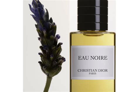 dior eau noire basenotes|Eau Noire Dior for women and men .